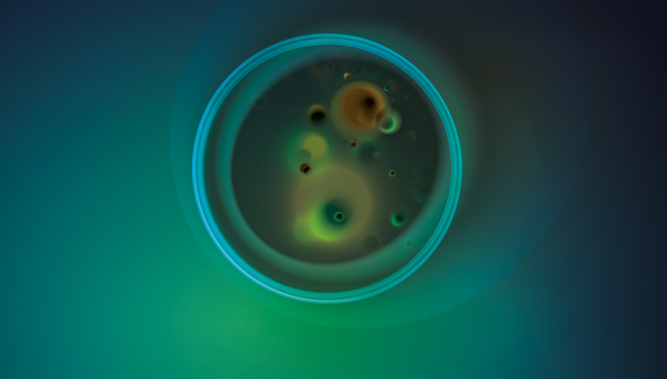 France Fighting antimicrobial resistance