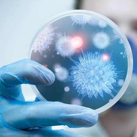 virus or bacterium 480